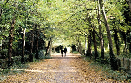 Holland Park Dog Walks