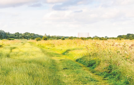 Wormwood Scrubs Dog Walks